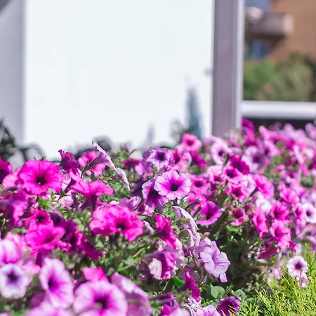 Bellevue Park With Free Parking Hotel 4*